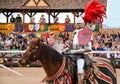 Jousting at the Renaissance Festival