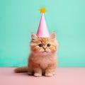 joy of a cat donning a birthday hat, creating an adorable and heartwarming image.