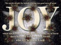 Joy Christmas Holly Angel Card Royalty Free Stock Photo