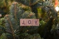 Joy Christmas Ornament