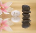 Joy and happiness as ecpressed with an arrangement of rocks and flower