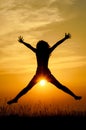 Joy in the sunset Royalty Free Stock Photo