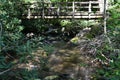 Joyce Kilmer Memorial Forest