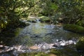 Joyce Kilmer Memorial Forest