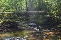 Joyce Kilmer Memorial Forest