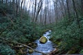 Joyce Kilmer National Park stream Royalty Free Stock Photo