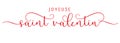 Joyeuse Saint Valentin elegant brush calligraphy