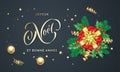 Joyeux Noel and Bonne Annee French Merry Christmas Royalty Free Stock Photo