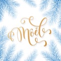 Joyeux Noel French Merry Christmas holiday golden hand drawn calligraphy text greeting and fir or pine branch in blue snow frost f Royalty Free Stock Photo