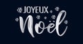 Joyeux Noel quote in French as logo or header. Translated Merry Christmas. Celebration Lettering for poster, card