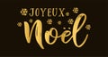 Joyeux Noel quote in French as logo or header. Translated Merry Christmas. Celebration Lettering for poster, card