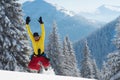 Joyful adventurer is jumping among huge pine trees Royalty Free Stock Photo