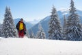 Joyful adventurer is running among huge pine trees Royalty Free Stock Photo