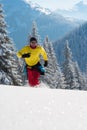 Joyful adventurer is running among huge pine trees Royalty Free Stock Photo