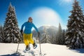 Joyful adventurer, woman is jumping on the snowshoes Royalty Free Stock Photo