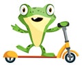 Joyful baby frog riding on a scooter, illustration, vector