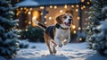 Beagle Puppy Runs Joyfully Through Winter Snow with Holiday Lights in the Background Royalty Free Stock Photo