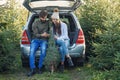 Joyful bearded man and pretty woman in hat sitting in car trunk holding fir tree and using smartphone at plantation area Royalty Free Stock Photo