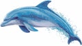 Joyful Blue Dolphin Jumping Isolated on White Background Royalty Free Stock Photo