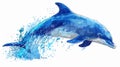 Joyful Blue Dolphin Jumping Isolated on White Background Royalty Free Stock Photo