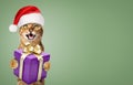 A joyful cat in a Santa hat smiles and holds a gift in his paws