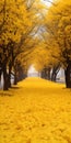 Joyful Celebration Of Nature: A Dreamy Yellow Walkway With Trees And Leaves Royalty Free Stock Photo