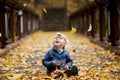 Joyful child admired by the fall of foliage