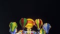 Joyful and Colorful Amusement Park Fun Fair at Night. Ferriswheel, Swing and other Exciting Fun Tool...