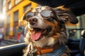 Joyful dog in black glasses rides in a car