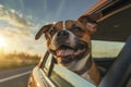 Happy Dog Enjoying Car Ride at Sunset Royalty Free Stock Photo