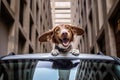 Joyful Dog Enjoying Car Ride with Tongue Out and Ears Flapping in Sunroof - Candid Lifestyle Photo