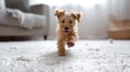 Joyful dog frolicking on a plush white carpet. Energetic terrier puppy in motion at home. Concept of playful pets Royalty Free Stock Photo