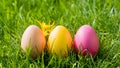 Joyful Easter eggstravaganza bringing laughter, fun, and excitement to all Royalty Free Stock Photo