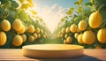 Joyful Empty podium for product presentation and Snap melon tree background Royalty Free Stock Photo