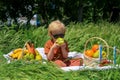 funny fair-haired toddler with sunglasses holds an apple, basket with fruits on green grass Royalty Free Stock Photo