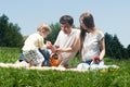 Joyful family picnicking Royalty Free Stock Photo