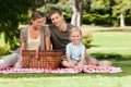 Joyful family picnicking in the park Royalty Free Stock Photo