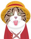 Joyful Feline: A Luffy-Inspired Adventure of a Cat with Scars and a Straw Hat