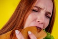 Joyful funny redhaired ginger girl with wild eyes suffering from anarexia with greedy ,eating large sandwic in studio Royalty Free Stock Photo