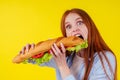 Joyful funny redhaired ginger girl with wild eyes suffering from anarexia with greedy ,eating large sandwic in studio Royalty Free Stock Photo