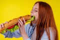 Joyful funny redhaired ginger girl with wild eyes suffering from anarexia with greedy ,eating large sandwic in studio Royalty Free Stock Photo