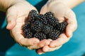 The joyful girl shows a handful of fresh blackberries which she has picked from the bush Royalty Free Stock Photo