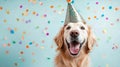 A joyful golden retriever wearing a festive hat surrounded by colorful confetti on a light blue background