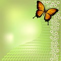 Joyful green bokeh spring background with yellow butterfly and small white flowers on grid. For your spring design