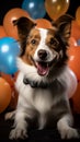 Joyful Jack Russell, cake, red tie, party hat, balloons white background celebration Royalty Free Stock Photo