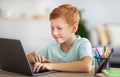 Joyful kid ginger boy doing homework, using laptop Royalty Free Stock Photo