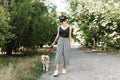 Joyful lady in white sneakers walking with beagle dog in park in sunny day, enjoying good weather. Outdoor full-length