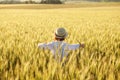 Joyful little boy running around in a field