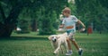 Joyful little kid running golden retriever playing together in summer park.