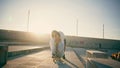 Joyful lovers enjoying skateboard ride sunbeams street. Skaters riding longboard Royalty Free Stock Photo